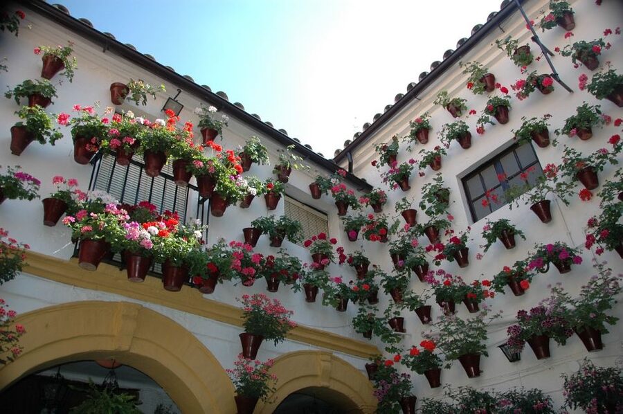 From Malaga and Costa Del Sol: Cordoba Day Trip - Who this tour suits best (and who should think twice)