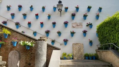From Malaga: Cordoba Day Trip and Mosque-Cathedral - Picking the Right Option: Free-Roam vs Mosque-Cathedral Entry
