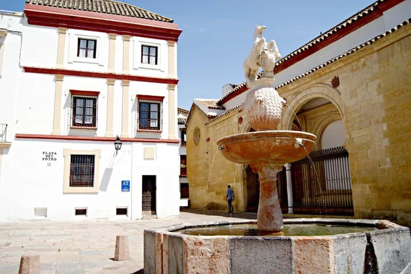 From Málaga: Córdoba Mosque Guided Tour - Key Things to Know Before You Go
