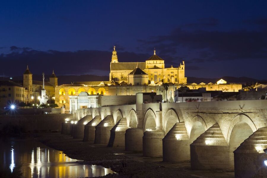 From Málaga: Córdoba Mosque Guided Tour - Price and Value: Is $214 Worth It?