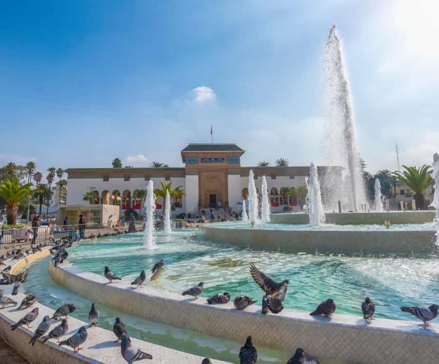 From Marrakech: Casablanca luxury Day Trip&Hassan II mosque - Inside Hassan II Mosque: ocean views and the one extra ticket cost