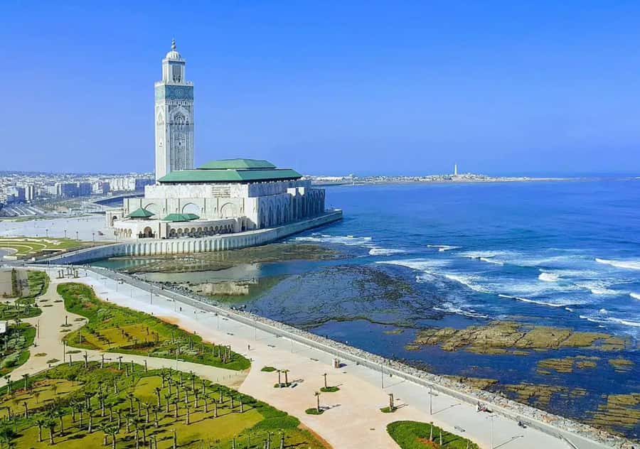 From Marrakech: Casablanca Tour with Hassan II Mosque Visit - Mohammed V Square: a quick city reset
