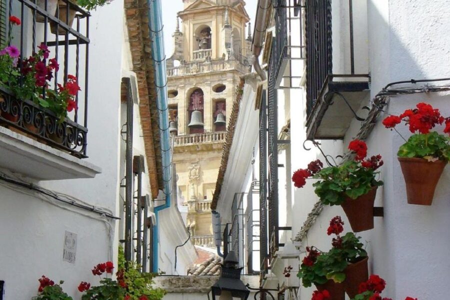 From Seville: Córdoba and Mosque Cathedral Full-Day Tour - What Your Guide Adds Inside the Mezquita: More Than a Pretty Room