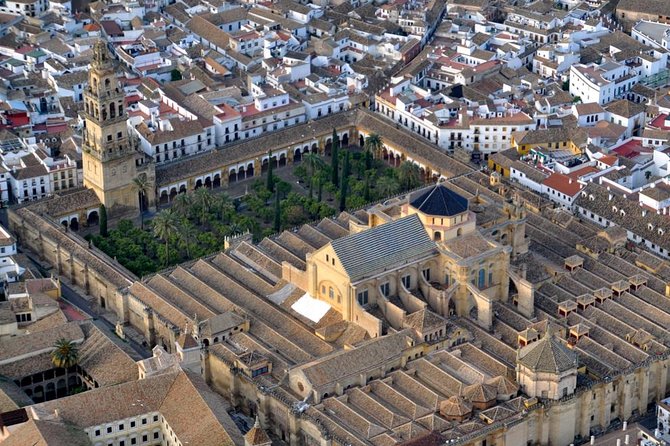 Full-Day Cordoba Tour from Granada: Mezquita Visit Included - Drivers who make the day better: Gonzalo, Carlos, Manuel, and José