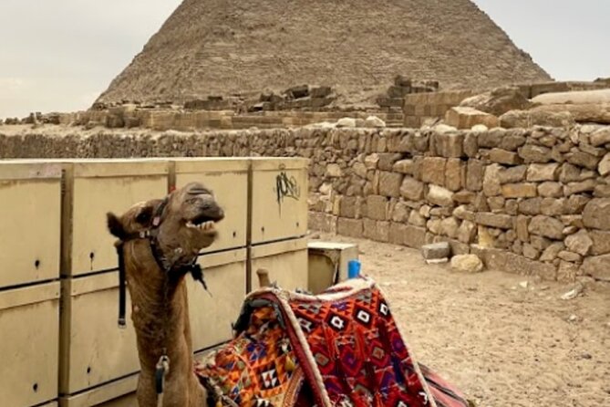 Giza Pyramids, The Egyptian Museum And Cairo Citadel-Mohamed Ali Mosque- Private - Who should book this private Cairo combo