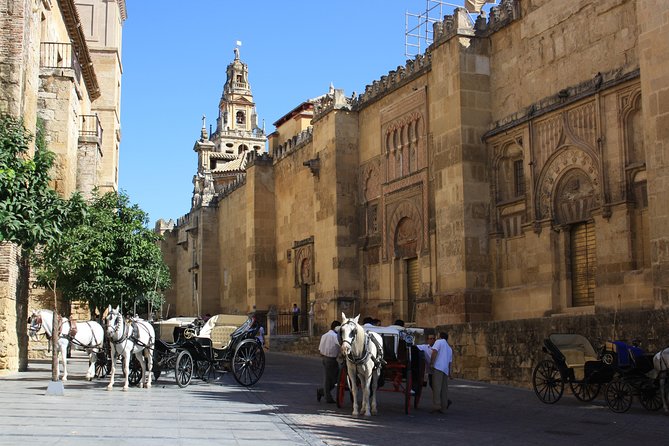 Guided Tour Jewish Quarter and Mosque-Cathedral of Córdoba with tickets - Meeting at Torre de la Paloma: how to start smoothly