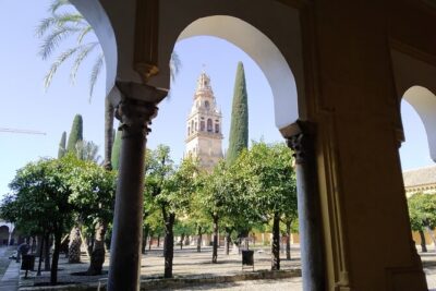 Guided tour of the Mosque-Cathedral of Cordoba in Spanish - Meeting at Patio de los Naranjos: Where You Get Oriented First
