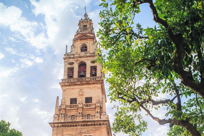 Guided tour of the Mosque with entrance included - Should you book Eventour’s Mezquita-Catedral guided visit?