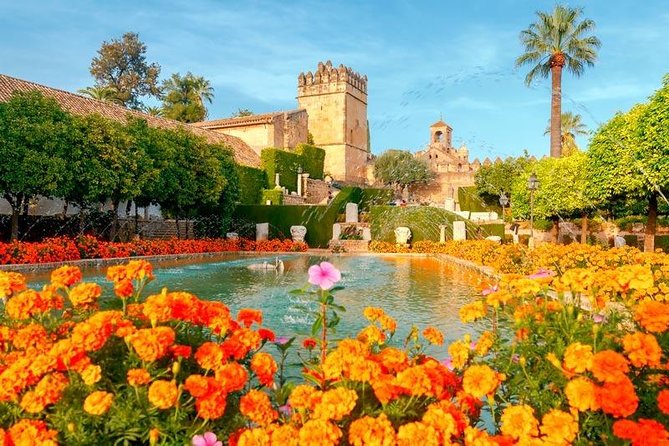 Guided visit to the Mosque-Cathedral, Jewish Quarter, Alcazar and Synagogue. Official guide - Price and value: what $60.36 really buys you