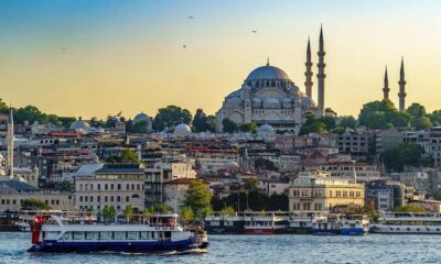 Istanbul: Blue Mosque Guided Tour & Süleymaniye Audio Guide - Blue Mosque in one hour: tiles, domes, and a licensed guide