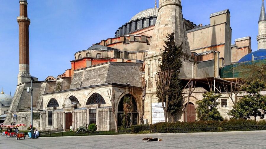 Istanbul: Blue Mosque & Hagia Sophia Guided Tour w/ Tickets - Dress Code and Security Rules That Can Trip You Up