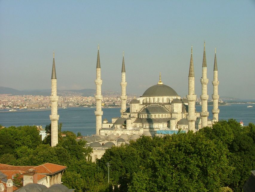 Istanbul: Half-Day Morning Hagia Sophia & Blue Mosque Tour - Pickup, transfers, and the group size reality