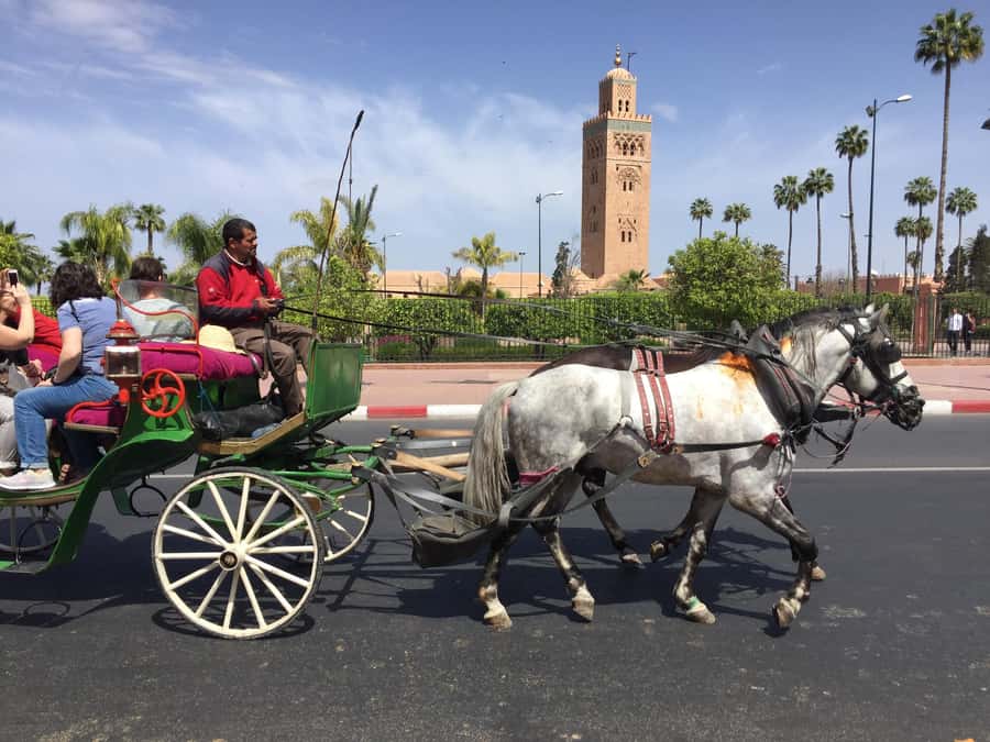 Marrakech: Bahia Palace, Saadian Tombs, & Koutoubia Mosque - Key highlights worth your attention