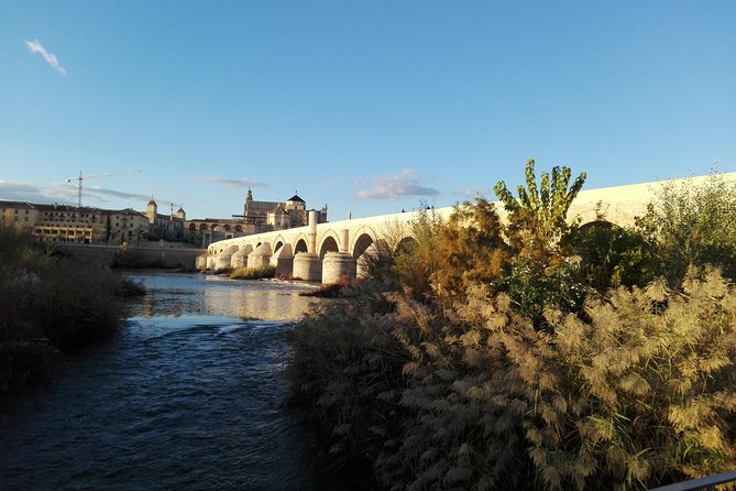 Mosque, Alcazar and Juderia Ticket Included Skip the Line - La Judería: Courtyards and the Jewish Quarter Experience