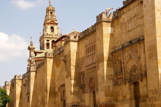 Mosque, Alcazar and Juderia Ticket Included Skip the Line - Guide Quality: The Names I Noticed in Real Experiences