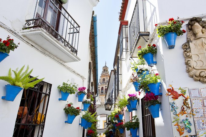 Mosque-Cathedral, Alcazar & Jewish Quarter with Tickets - La Judería Walk: Synagogue, Maimonides, and Market Memories