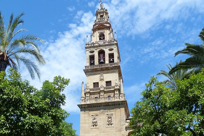 Mosque-Cathedral Cordoba Guided Tour with Priority Access - Stop 2: Patio de los Naranjos introduction before you go inside