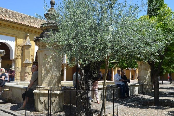 Mosque of Cordoba History Tour in English Tickets included - Small group size: easier questions, less feeling rushed