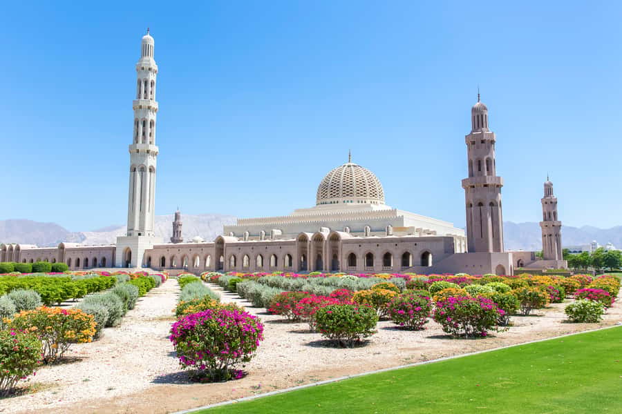 Muscat: City Tour of Grand Mosque, Old Souqs, Museum, & Fort - How the 4.5-hour flow fits a real day in Muscat