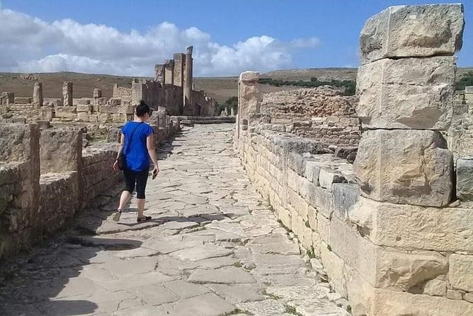 Private Guided Tour of Dougga and Testour Mosque - Private guided pacing: what changes when it’s not a bus group