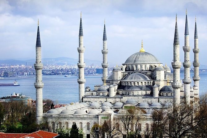 Private Half Day Shore Excursion: Hagia Sophia, Hippodrome, Blue Mosque and Grand Bazaar From Istanbul - Why the private guide quality matters (names you can recognize)