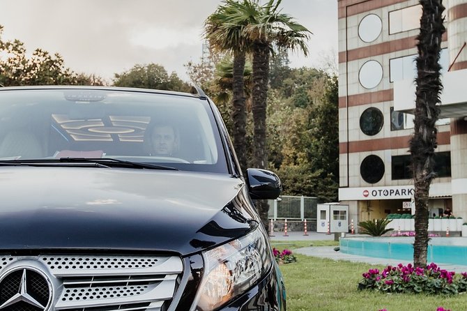 Private Istanbul Airport Transfer to Blue Mosque Sultan Ahmet - Flexibility for Flight Delays and Last-Minute Changes