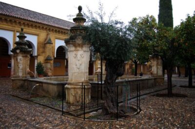 Private Tour of the Mosque-Cathedral and Jewish Quarter - Starting at Fuente de Santa María: where you’ll meet and how the timing feels