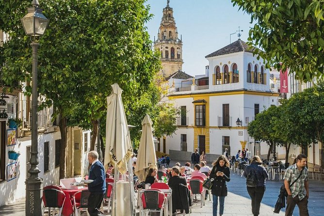 Private Transfer Seville to Granada with a Tour of Cordoba/Mosque - Which guide style works best: included narration vs private extras