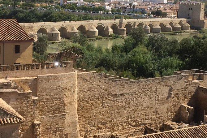 Private Visit Mosque-Cathedral, Jewish quarter, Alcazar and Synagogue - Calleja de las Flores: The Classic Jewish Quarter Stroll