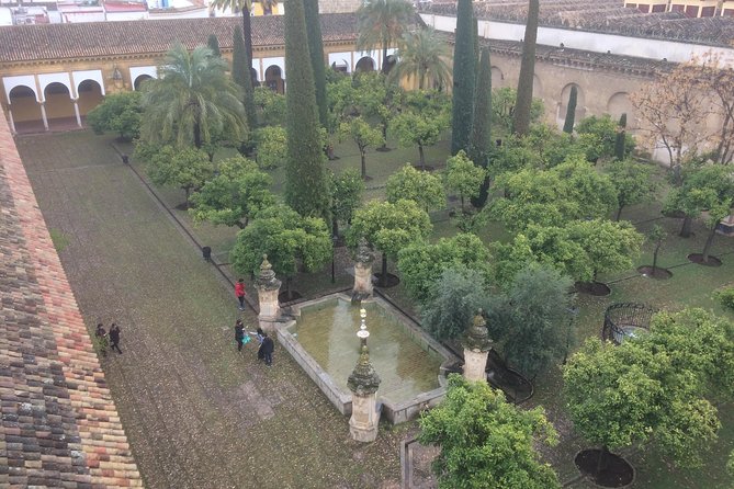 Visit in Spanish to the Cathedral Mosque. Does not include entrance ticket - Value for money: why $20.52 can feel “fair” here